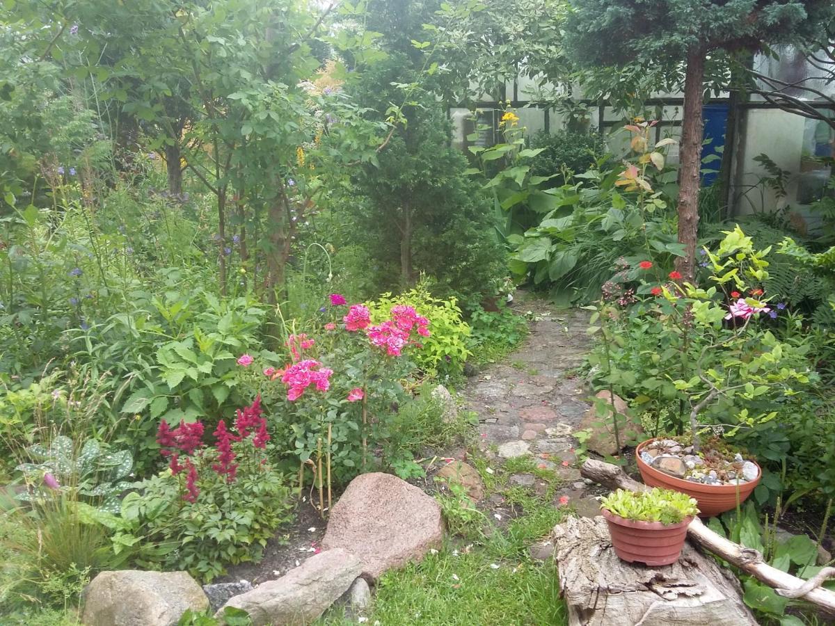 Villa Jaskolka Miedzyzdroje Eksteriør bilde