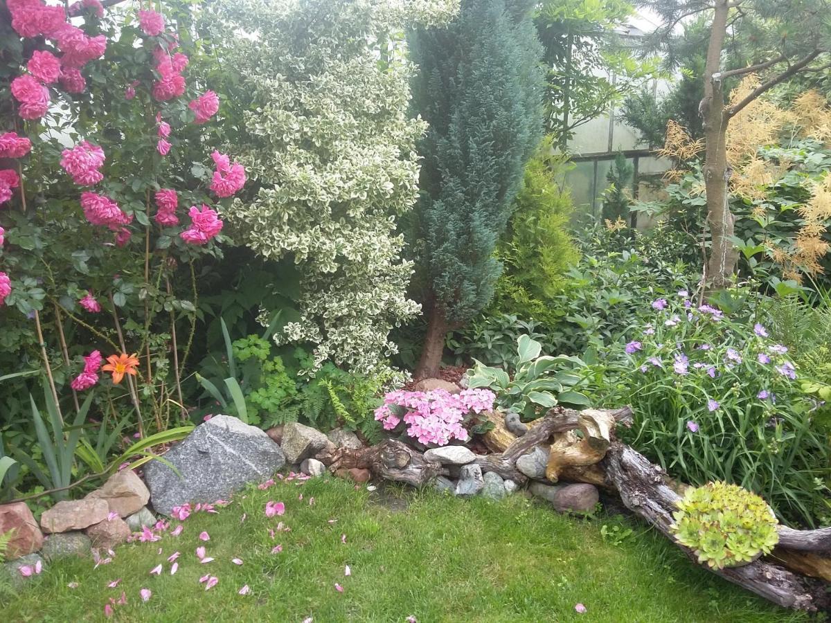 Villa Jaskolka Miedzyzdroje Eksteriør bilde